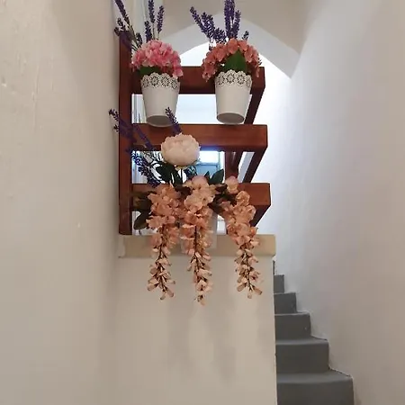 Pensión Palazzo Novecento Ugento